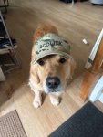 This is Winnie, she is Dartmouth College student Trey Roger’s dog.
